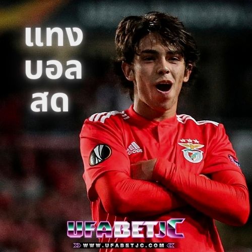 แทงบอลสด